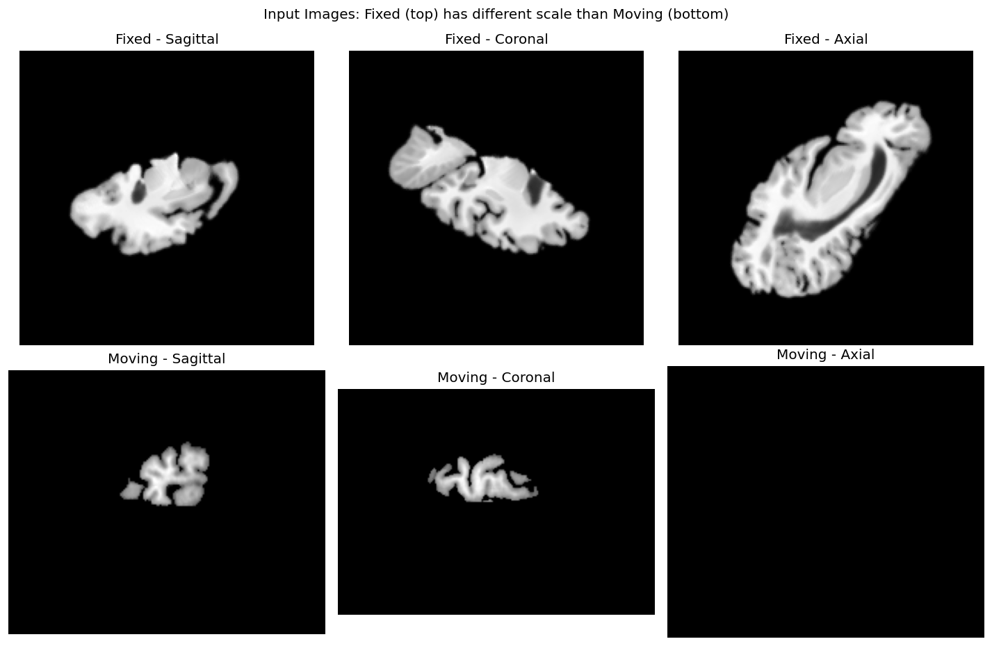 Input images with different scales